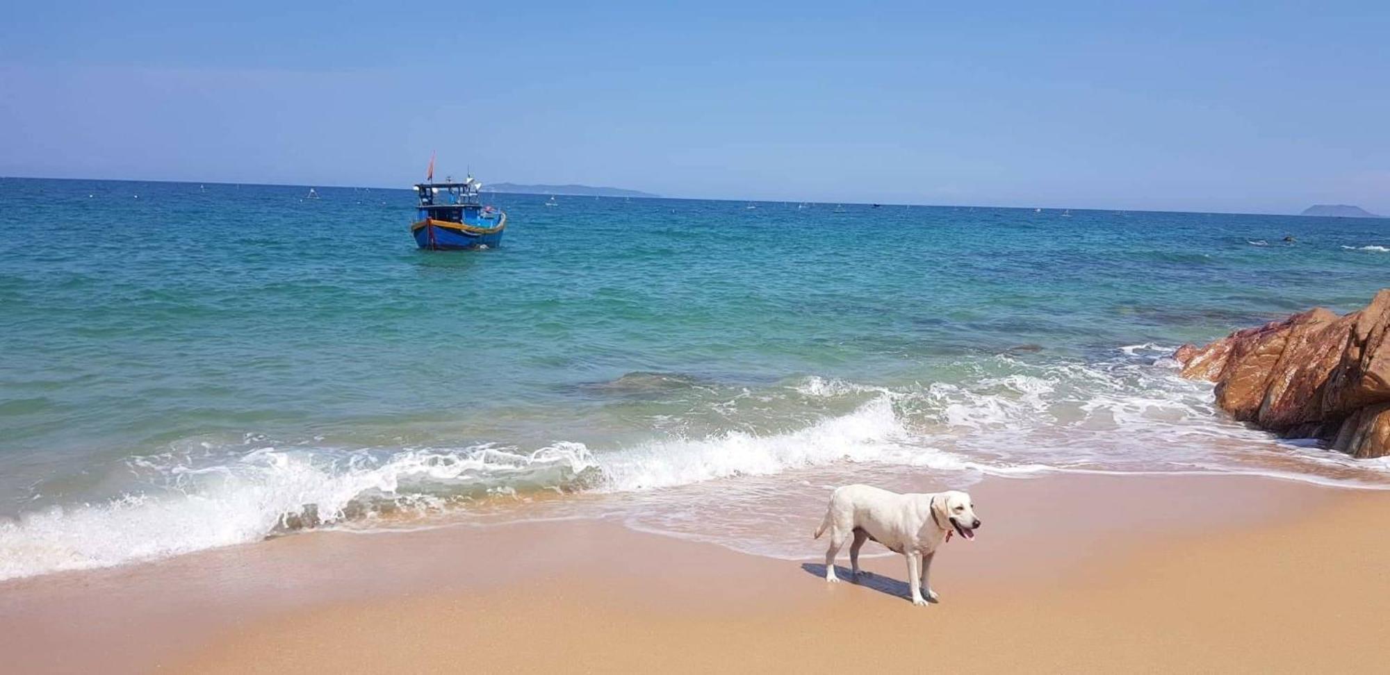 Life'S A Beach Quy Nhon Exterior foto